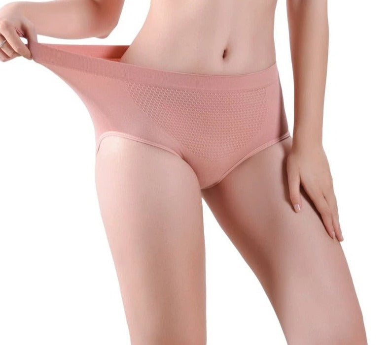 Everyday Shaping Panties Brief