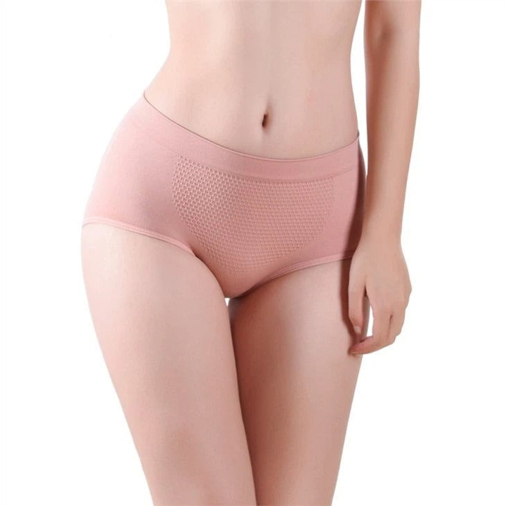 Everyday Shaping Panties Brief